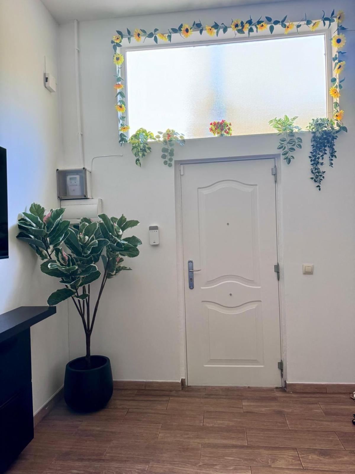 Pamis Apartament Sants, Barselona Dış mekan fotoğraf